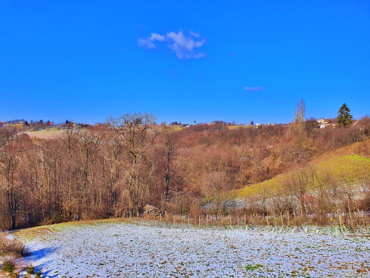 Holiday Home Bella Vita Gornji Mihaljevec Buitenkant foto